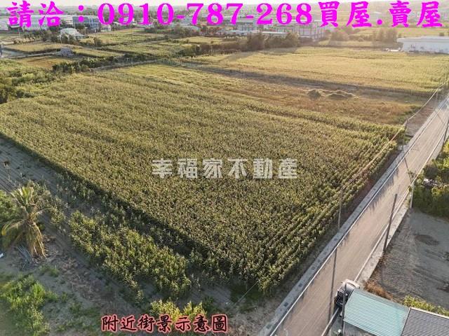 台南西港農地-3