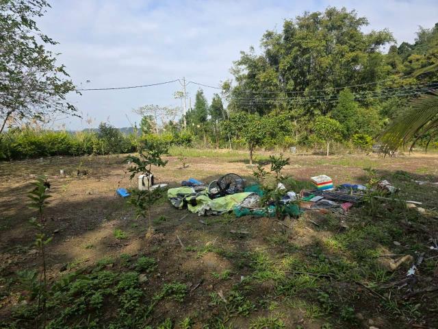 新竹橫山農地-2