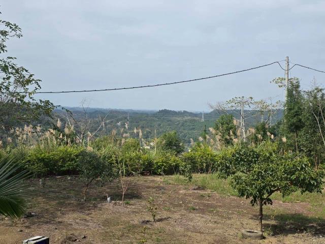 新竹橫山農地-3