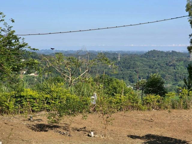 新竹橫山農地-6