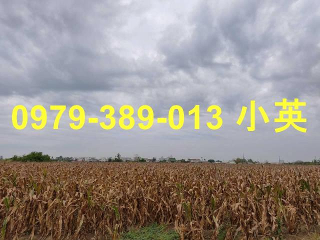 台南鹽水農地-6