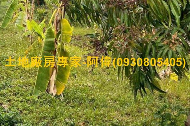 大寮農地-0
