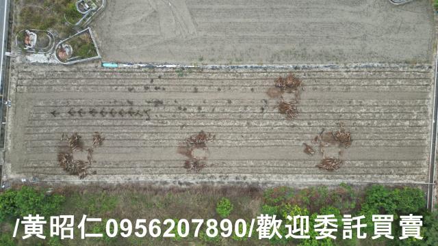 善化農地-6