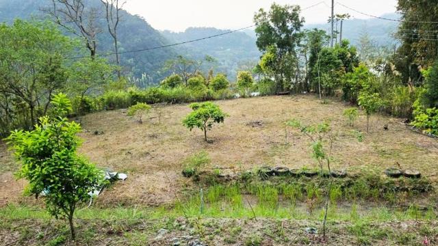 橫山田洋街視野景觀農地