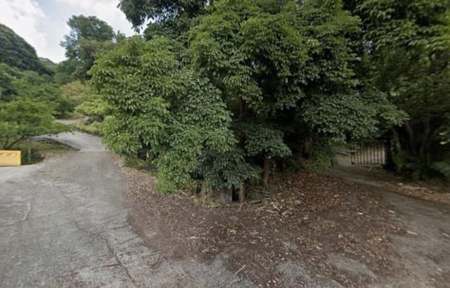 台中農地法拍-1