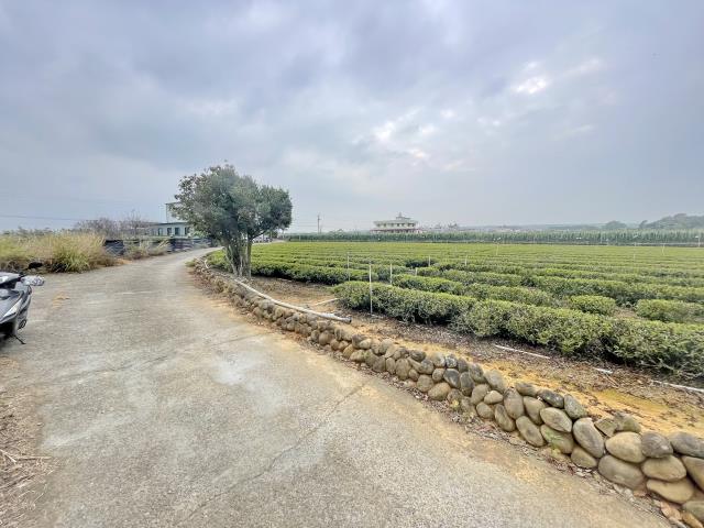 名間下埔巷茶園