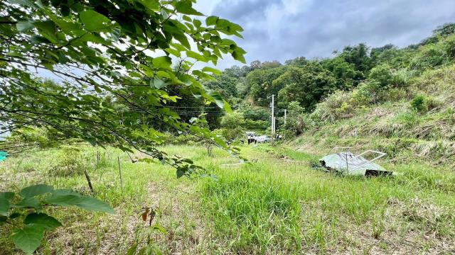 新竹橫山農地-8