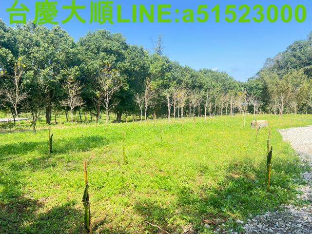 小坪數橫山開心農場