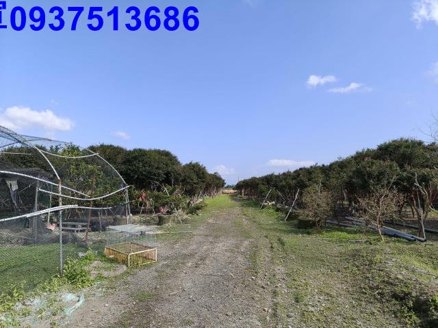 宜蘭礁溪農地-14