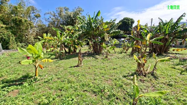 新竹橫山農地-12