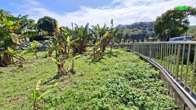 新竹橫山農地-13