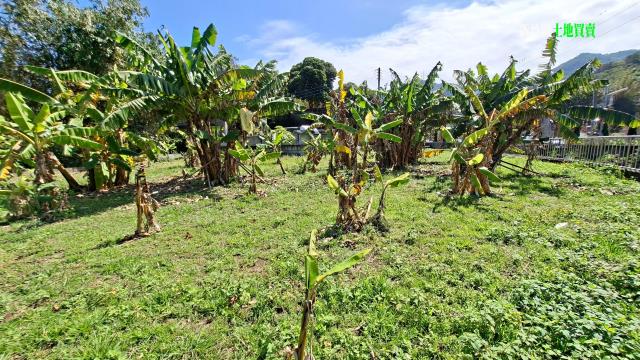 新竹橫山農地-14