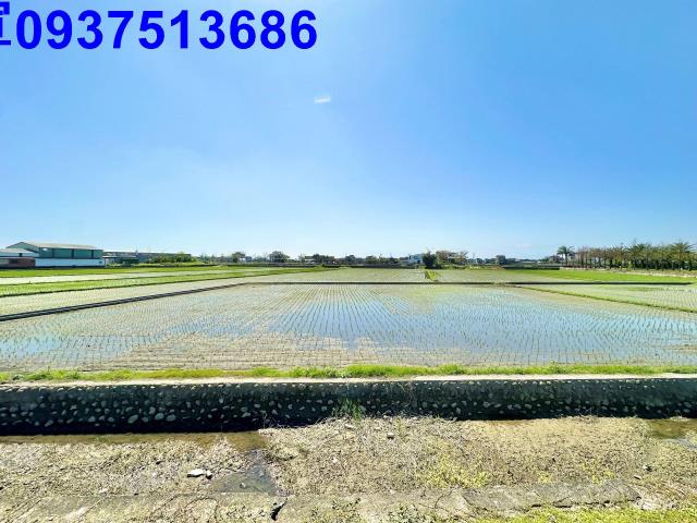 宜蘭礁溪農地-0