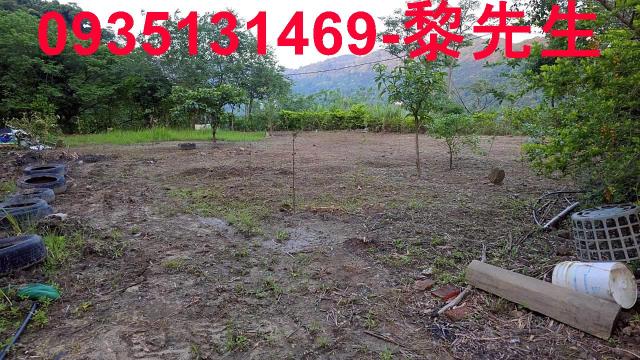 新竹橫山農地-10