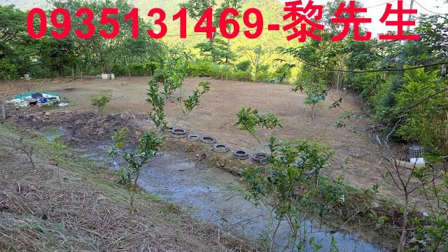 新竹橫山農地-8