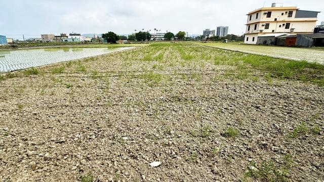 新竹竹北農地-11