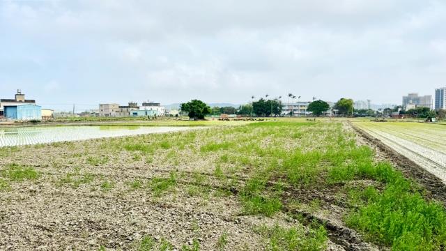 新竹竹北農地-1