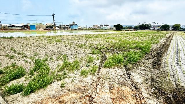 新竹竹北農地-3