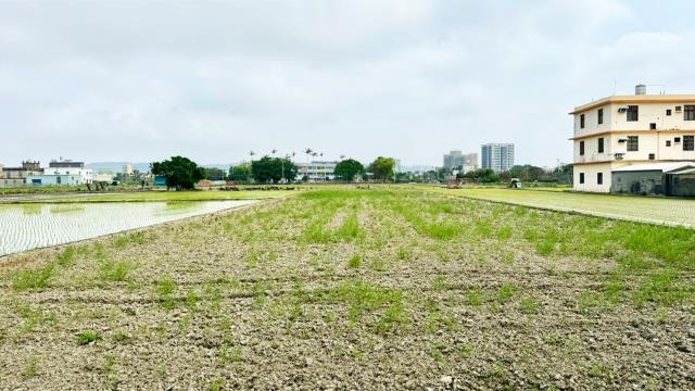 新竹竹北農地-6