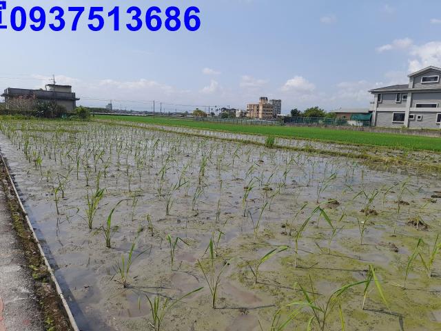 宜蘭礁溪農地-0