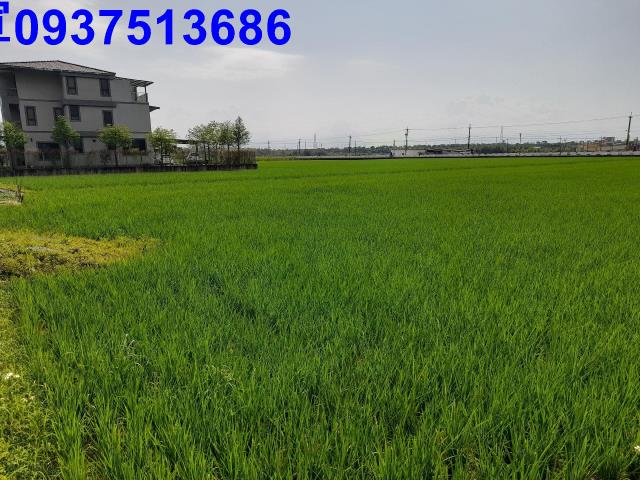 宜蘭礁溪農地-2