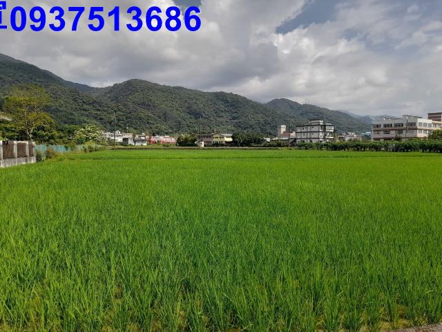 宜蘭礁溪農地-7