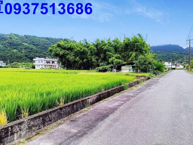 員山農地-10