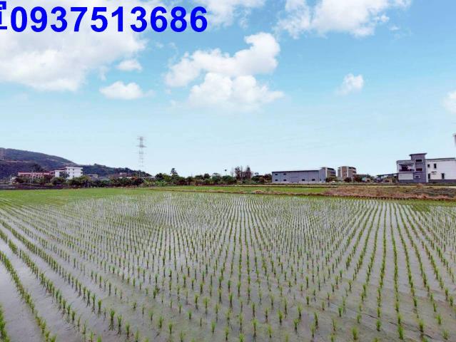 員山農地-1
