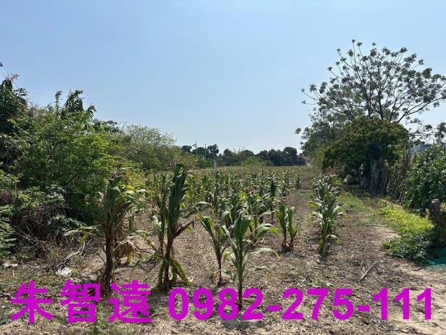 善化農地-3