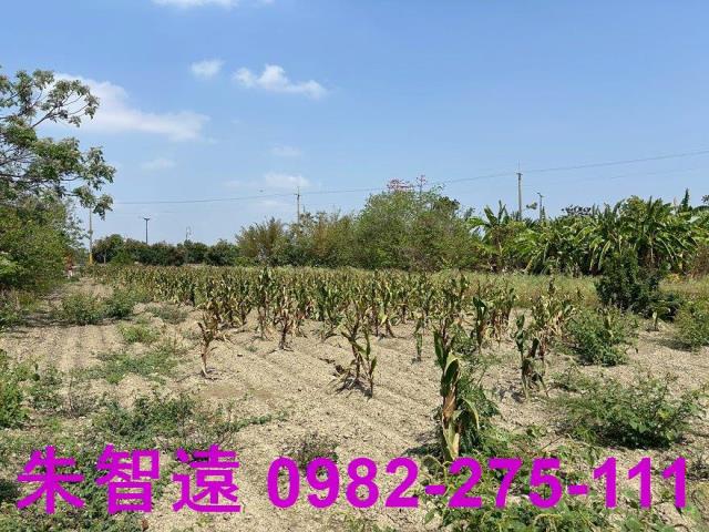 善化農地-5