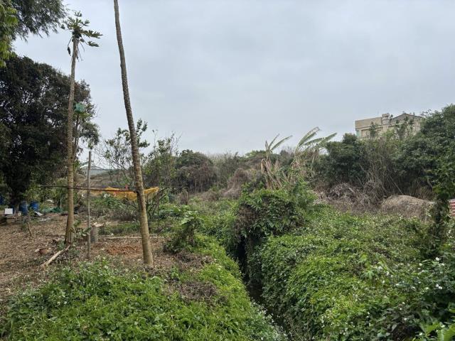 綠園道大面寬美田