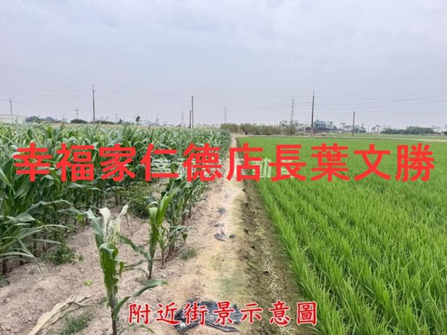 台南農地-1