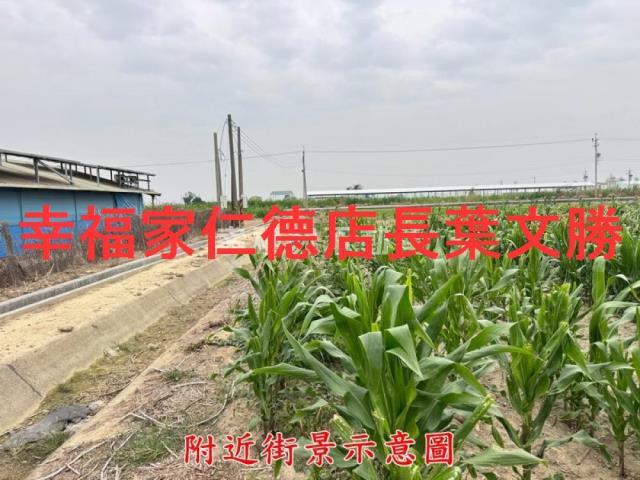台南農地-8