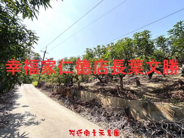 台南農地-9
