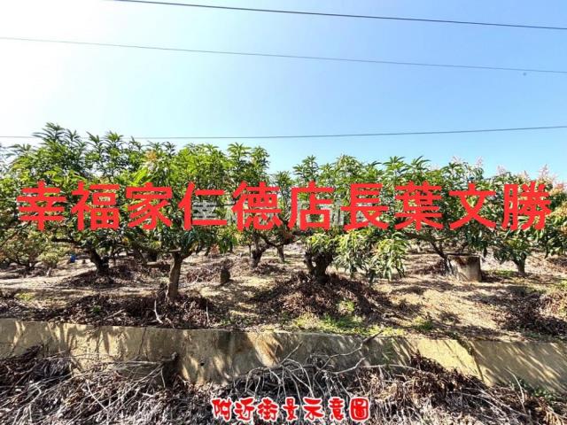 台南農地-10