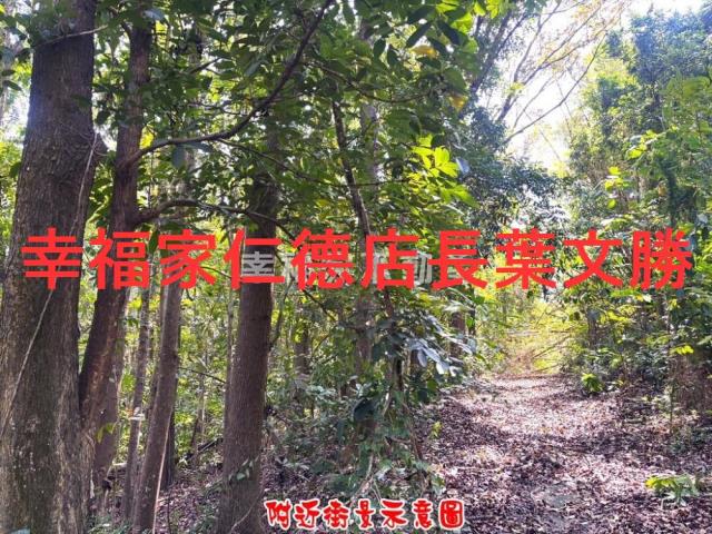台南農地-13