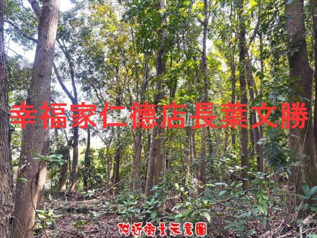 台南農地-0
