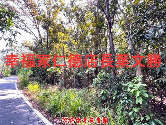 台南農地-3