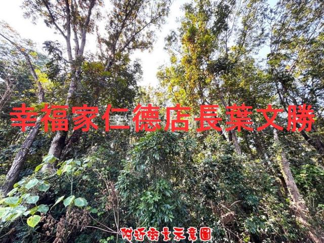 台南農地-4