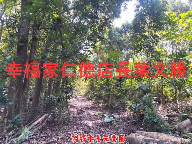 台南農地-5