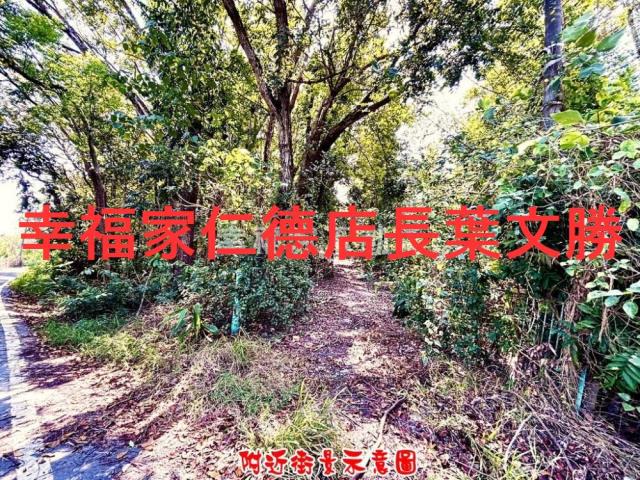 台南農地-6