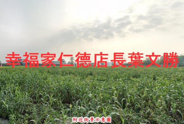 台南農地-2