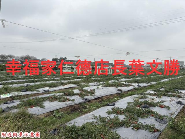 台南農地-4