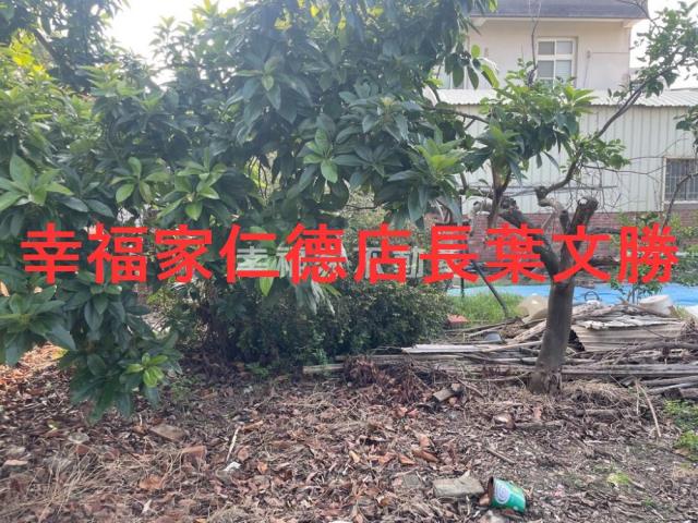 台南建地-3
