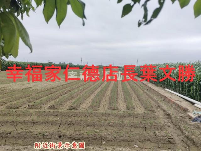 台南農地-7