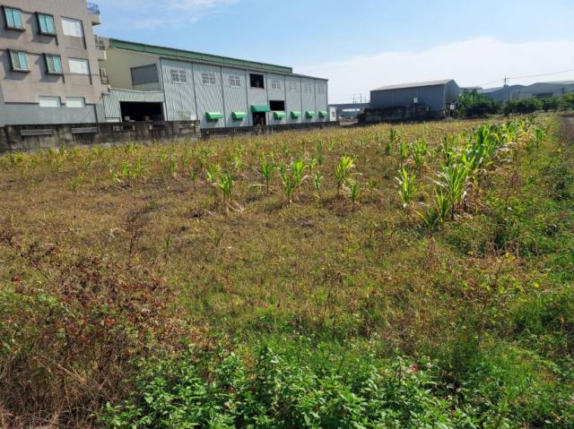 台南歸仁農地-7