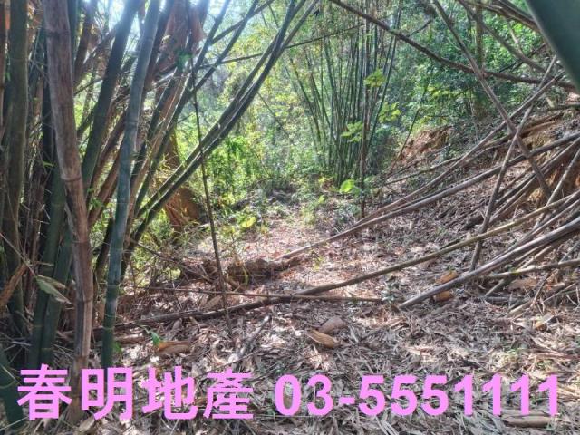 新竹寶山農地-1