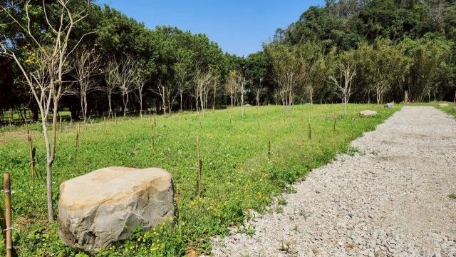 新竹橫山農地-9