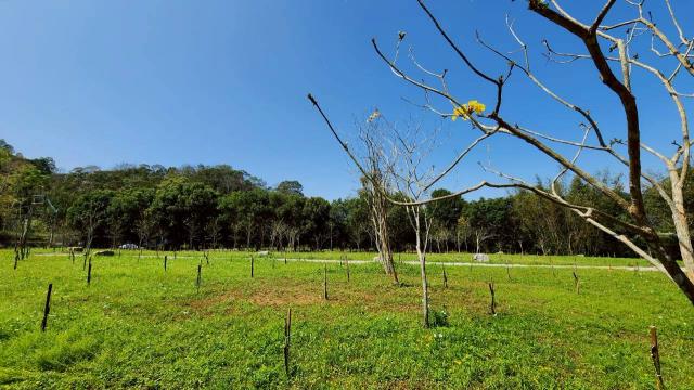 新竹橫山農地-1