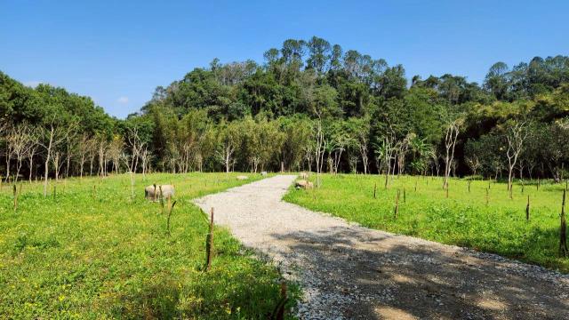 新竹橫山農地-8